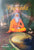 The Herbs of Ayurveda , 4 Volumes set. By Ashok Seth